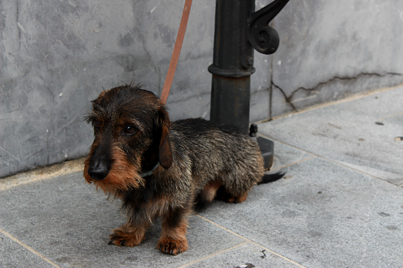 2014SlovenieIMG 1425TE